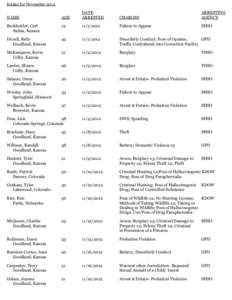 Intake for November 2012 NAME AGE  DATE