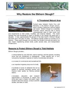 Why Restore the Elkhorn Slough? A Threatened Natural Area Tucked away between Santa Cruz and Monterey is the Elkhorn Slough estuary, which contains California’s second largest salt marsh. Elkhorn Slough is a nationally