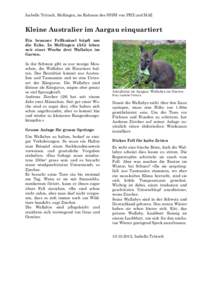 Isabelle Trütsch, Mellingen, im Rahmen des SPJM von PHZ und MAZ  Kleine Australier im Aargau einquartiert Ein brauner Fellknäuel hüpft um die Ecke. In Mellingen (AG) leben seit einer Woche drei Wallabys im