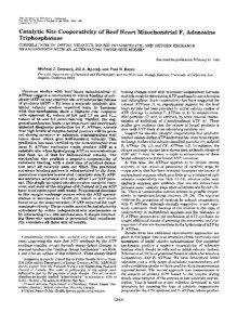 Biochemistry / Integral membrane proteins / Enzymes / Photosynthesis / Nucleotides / ATP synthase / Oxidative phosphorylation / ATPase / Nicotinamide adenine dinucleotide / Biology / Chemistry / Cellular respiration