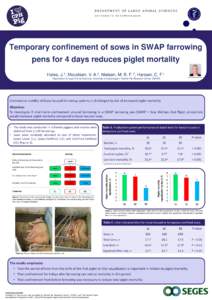 D E PA R T M E N T O F LA R G E A N I MA L S C I E N C E S UN IVE R S ITY O F C OPE NHAGE N Temporary confinement of sows in SWAP farrowing pens for 4 days reduces piglet mortality Hales, J.1, Moustsen, V. A.2, Nielsen, 