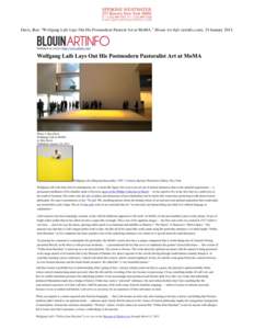 Davis, Ben. “Wolfgang Laib Lays Out His Postmodern Pastoral Art at MoMA.” Blouin Art Info (artinfo.com), 24 January 2013.   