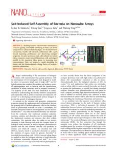 Letter pubs.acs.org/NanoLett Salt-Induced Self-Assembly of Bacteria on Nanowire Arrays Kelsey K. Sakimoto,† Chong Liu,†,‡ Jongwoo Lim,† and Peidong Yang*,†,‡,§ †