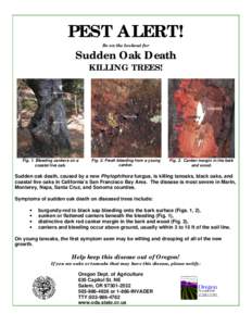 PEST ALERT! Be on the lookout for Sudden Oak Death KILLING TREES!