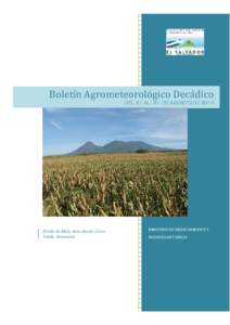 Boletín Agrometeorológico Decádico  DEL 21  AL  31  DE AGOSTO DE 2014 Dobla de Maíz, zona desvío Cerro  Verde, Sonsonate. 