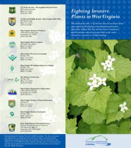 Botany / Japanese knotweed / Herbicide / Kudzu / Lonicera maackii / Alliaria petiolata / Pueraria montana / Glyphosate / Weed / Invasive plant species / Agriculture / Environment