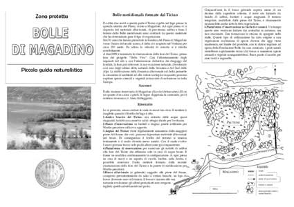 Zona protetta  Piccola  guida naturalistica  Cinquant’anni fa il bosco golenale copriva meno di un