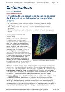 Investigadores españoles curan la anemia de Fanconi en el laboratorio con células ...  Página 1 de 3 Portada > Salud > Biociencia