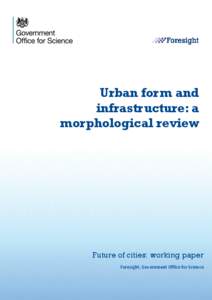 Urban form and infrastructure: a morphological review