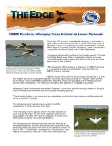 CBBEP Purchases Whooping Crane Habitat on Lamar Peninsula Photo: Ph t Li Liz S Smith