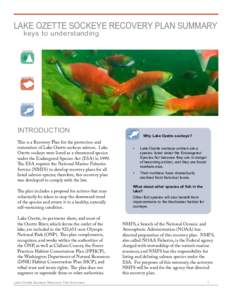 LAKE OZETTE SOCKEYE RECOVERY PLAN SUMMARY keys to understanding habitat  definition