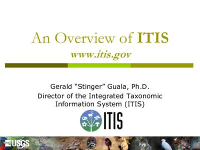 An Overview of ITIS www.itis.gov Gerald “Stinger” Guala, Ph.D. Director of the Integrated Taxonomic Information System (ITIS)