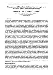 Atmospheric sciences / Pinus / Dendrology / Paleoclimatology / Flora of Macedonia / Dendrochronology / Bosnian Pine / Pinus peuce / Proxy / Archaeological sub-disciplines / Historical geology / Archaeology