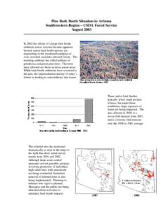 Pine Bark Beetle Situation in Arizona Southwestern Region – USDA Forest Service August 2003 In 2002 the effects of a large bark beetle outbreak across Arizona became apparent.