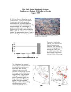 Protostome / Biology / Bark beetle / Beetle / Bark / Mountain pine beetle / European spruce bark beetle / Curculionidae / Woodboring beetles / Phyla