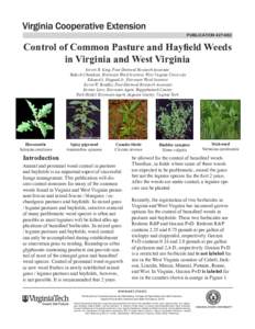 publication[removed]Control of Common Pasture and Hayfield Weeds in Virginia and West Virginia Steven R. King, Post-Doctoral Research Associate Rakesh Chandran, Extension Weed Scientist, West Virginia University