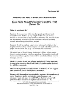 Factsheet #1 What Workers Need to Know About Pandemic Flu Basic Facts About Pandemic Flu and the H1N1 (Swine) Flu What is pandemic flu?