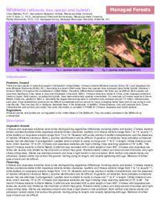 Biology / Flora of China / Flora of Japan / Plant morphology / Wisteria / Seed / Inflorescence / Sierra Madre /  California / Deciduous / Faboideae / Botany / Vines