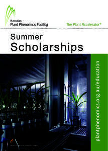 2013 Summer Scholarship Flyer.indd