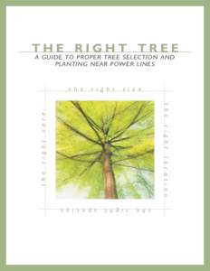 THE RIGHT TREE A GUIDE TO PROPER TREE SELECTION AND PLANTING NEAR POWER LINES t h e