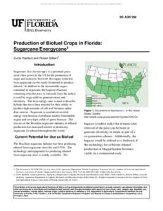 Archival copy: for current recommendations see http://edis.ifas.ufl.edu or your local extension office.  SS AGR 298 Production of Biofuel Crops in Florida: Sugarcane/Energycane1