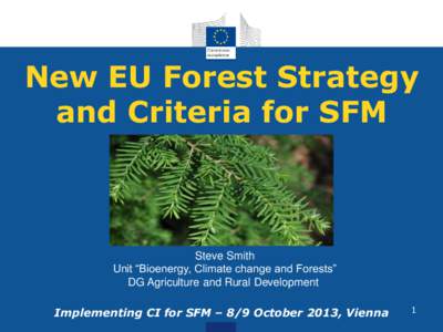 New EU Forest Strategy and Criteria for SFM Steve Smith Unit “Bioenergy, Climate change and Forests” DG Agriculture and Rural Development