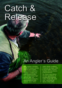 Catch & Release An Angler’s Guide Many anglers voluntarily choose to release salmon,