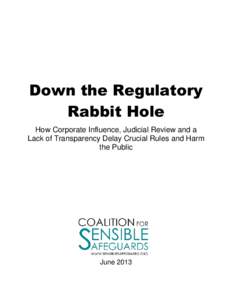 Down the Regulatory Rabbit Hole How Corporate Influence, Judicial Review and a Lack of Transparency Delay Crucial Rules and Harm the Public