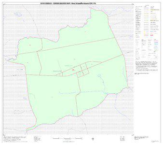 2010 Census - Census Block Map