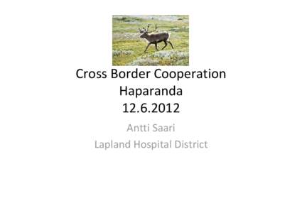 Cross Border Cooperation Haparanda
