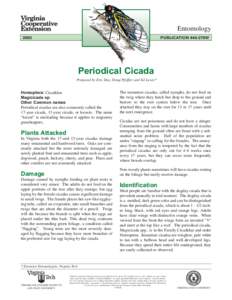 Entomology 2002 PUBLICATION 444-276W  Periodical Cicada