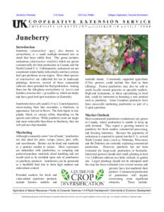 Flora / Amelanchier alnifolia / Flora of Saskatchewan / Amelanchier / Garden strawberry / Ziziphus mauritiana / Flora of the United States / Fruit / Berries