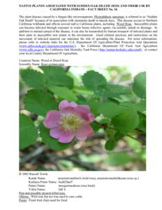 Microsoft Word - Tribal uses for Wood Rose-#16.doc