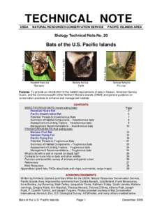 Emballonuridae / Fauna of Seychelles / Seychelles Sheath-tailed Bat / Hawaiian hoary bat / Sac-winged bat / Microbat / Animal echolocation / Little Mariana fruit bat / Indiana bat / Bats / Vesper bats / Lasiurus