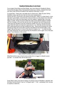 Trout / Fly fishing / Brown trout / Fish / Salmonidae / Roadford Lake