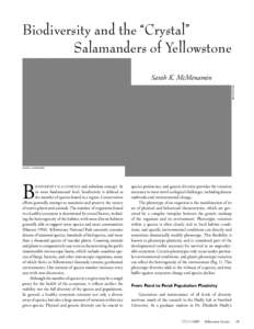 Biodiversity and the “Crystal” Salamanders of Yellowstone Sarah K. McMenamin Steve Palumbi  Sarah K. M c Menamin