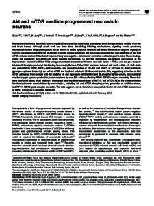 Akt and mTOR mediate programmed necrosis in neurons