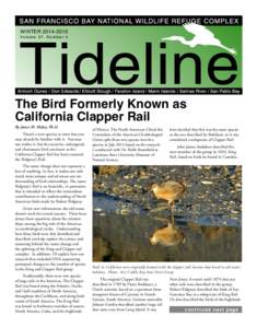 WINTER[removed]Vo l u m e 3 7 , N u m b e r 4 The Bird Formerly Known as California Clapper Rail By James M. Maley, Ph.D.