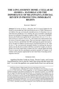 THE IMPORTANCE OF MEANINGFUL JUDICIAL REVIEW IN PROTECTING IMMIGRANT RIGHTS