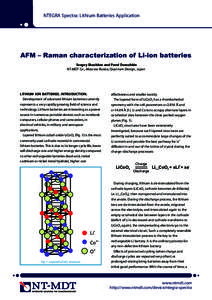 Lithium battery / Lithium / Raman spectroscopy / Cathode / Lithium–sulfur battery / Titanium disulfide / Battery / Rechargeable batteries / Lithium-ion battery