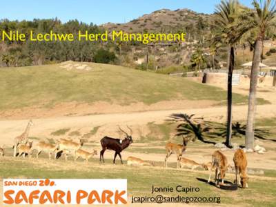 Nile Lechwe Herd Management  Jonnie Capiro [removed]  Multi-Species Exhibits