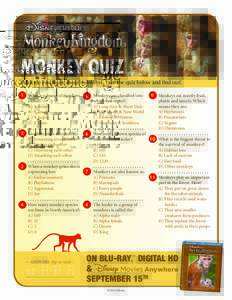 MONKEY QUIZ What do you know about monkeys? Take the quiz below and find out! What is a group of monkeys called?: A) A Bunch B) A Troop