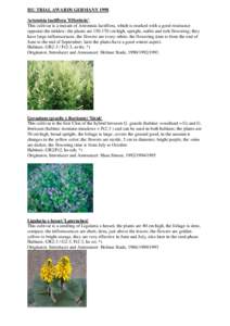 Nepeta / Botany / Salvia officinalis / Biology / Agriculture / Medicinal plants / Sedum / Hylotelephium telephium