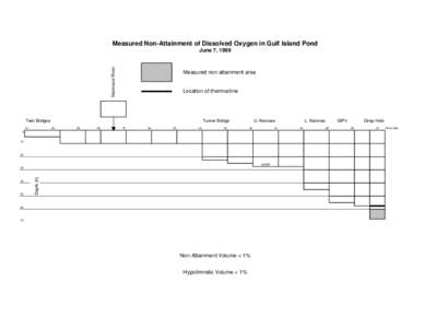 Measured Non-Attainment of Dissolved Oxygen in Gulf Island Pond  Nezinscot River June 7, 1999