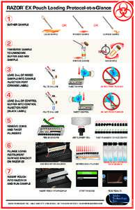 RAZOR EX Pouch Loading Protocol-at-a-Glance ™ GATHER SAMPLE  OR