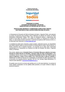 PROGRAMA 24 HORAS DIVISIÓN DE PROGRAMAS Y ESTUDIOS SUBSECRETARÍA DE PREVENCIÓN DEL DELITO POSTULACIÓN TERAPEUTA Y SUPERVISOR CLÍNICO PARA TERAPIA MULTISISTÉMICA PARA ILUSTRE MUNICIPALIDAD DE ARICA