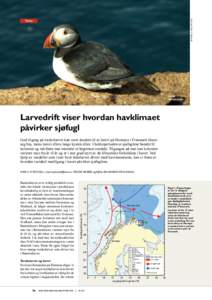 Alle foto: Mari S. Myksvoll  Tema Lunde Atlantic puffin