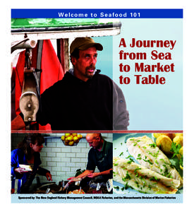 Welcome to Seafood 101  A Journey from Sea to Market to Table