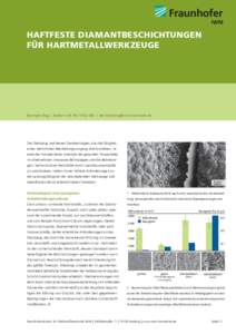 HAFTFESTE DIAMANTBESCHICHTUNGEN FÜR HARTMETALLWERKZEUGE Gruppe Tribologische Schichtsysteme Dr. Sven Meier | Telefon + | 