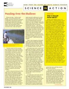 n e w s f r o m t h e C A L F E D b ay - d e lta s c i e n c e p r o g r a m  science Puzzling Over the Shallows Three years ago, “shallow water habitat” was the buzzword of the